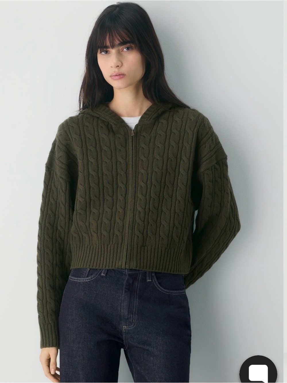 Aritzia Octavia Zip Hoodie